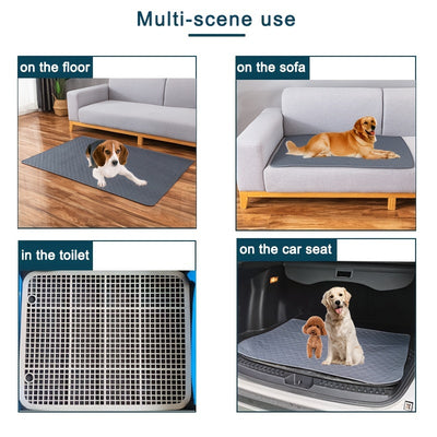 Pet Pee Pad and Diaper.