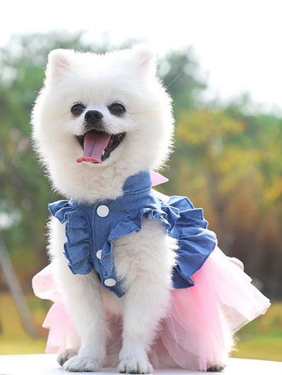 Pet Denim Dresses.