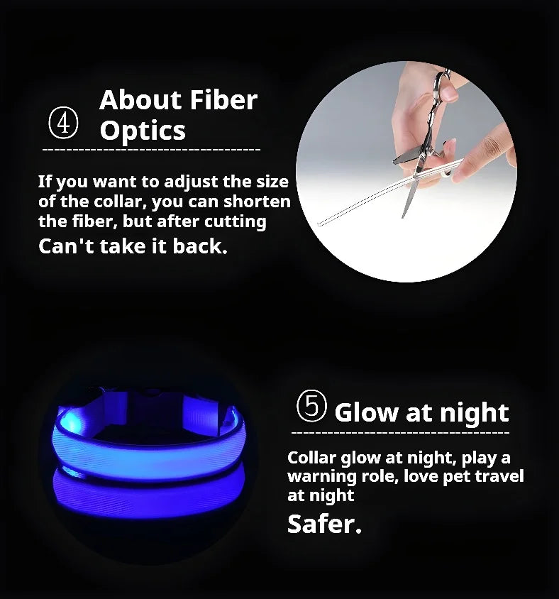 Dog Collar LED Night Safety Flashing.