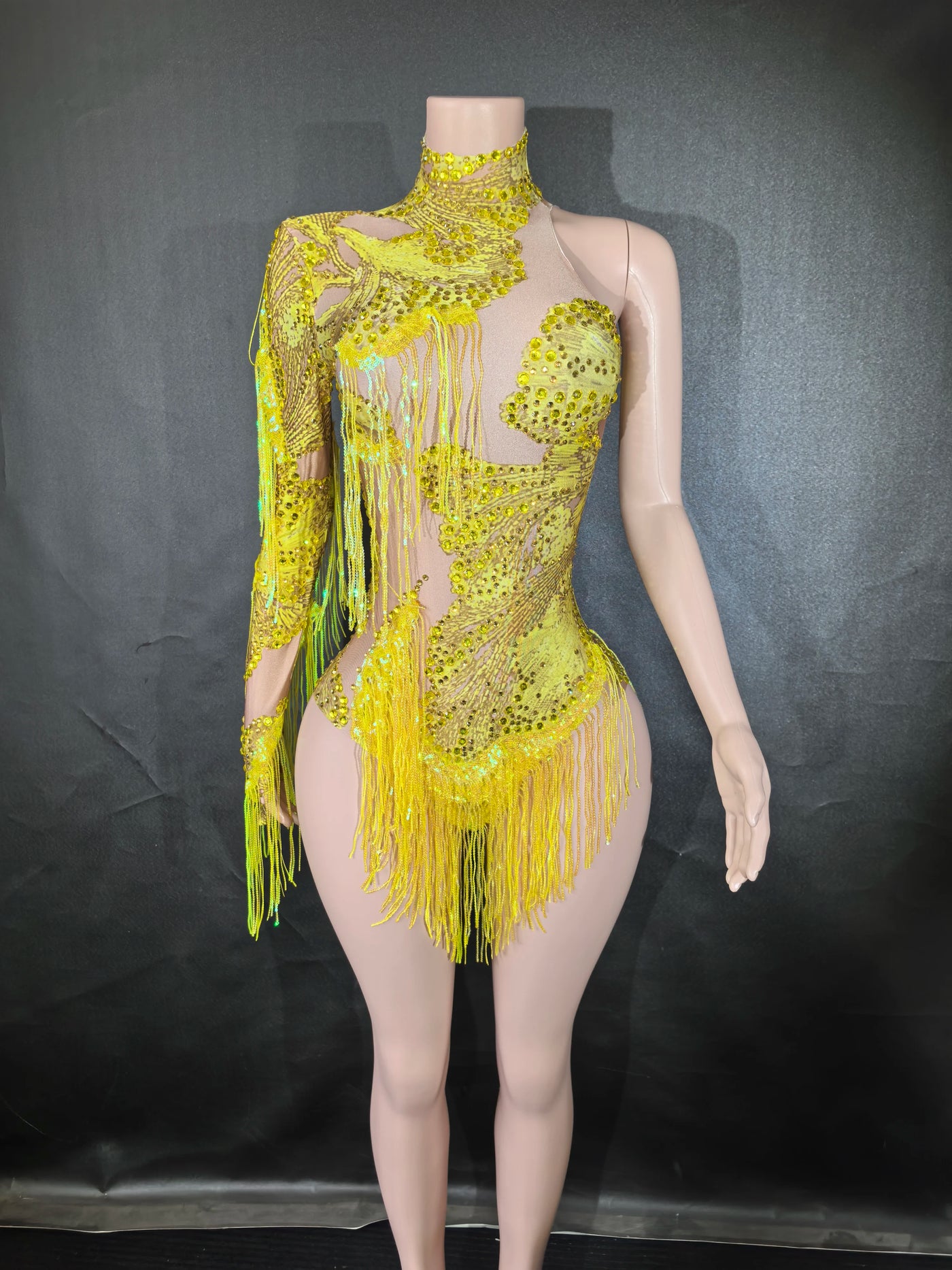 Sexy Singer Dancer Stage Wear.