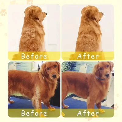 Steamy Dog Brush Electric Spray Cat Hairbrush.