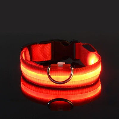 Dog Collar LED Night Safety Flashing.