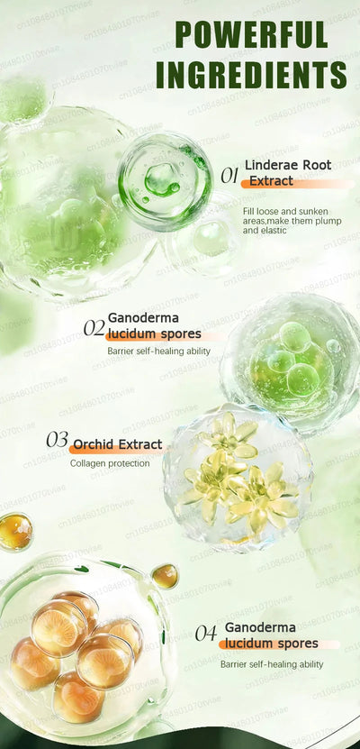 Facial Korean Skin Care Serum.