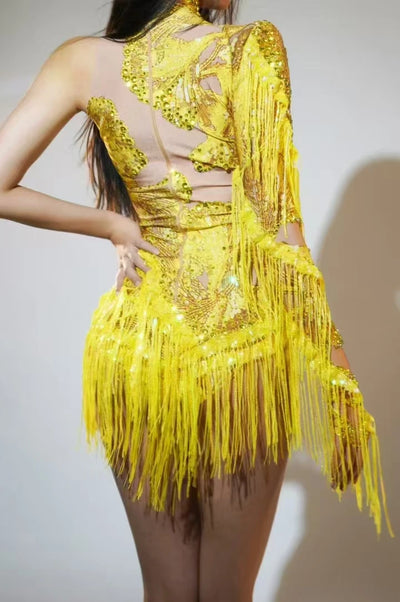 Sexy Singer Dancer Stage Wear.