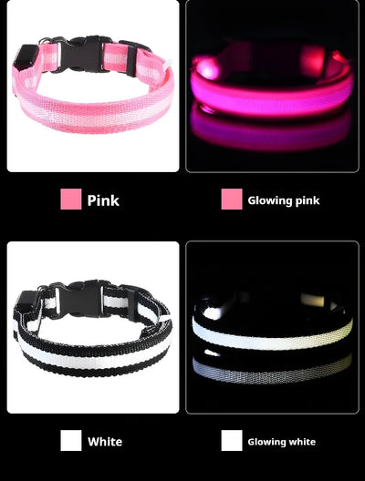 Dog Collar LED Night Safety Flashing.