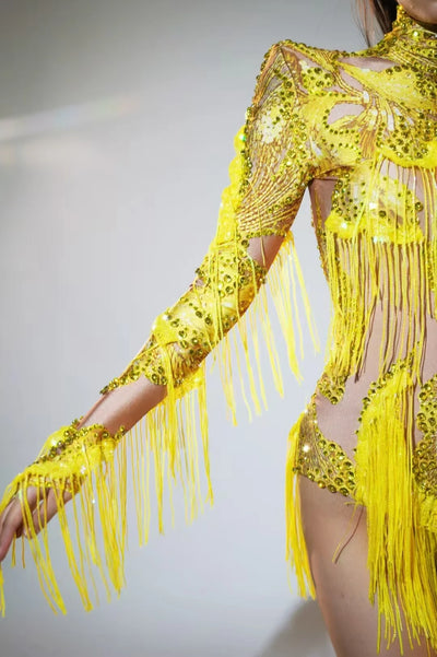 Sexy Singer Dancer Stage Wear.