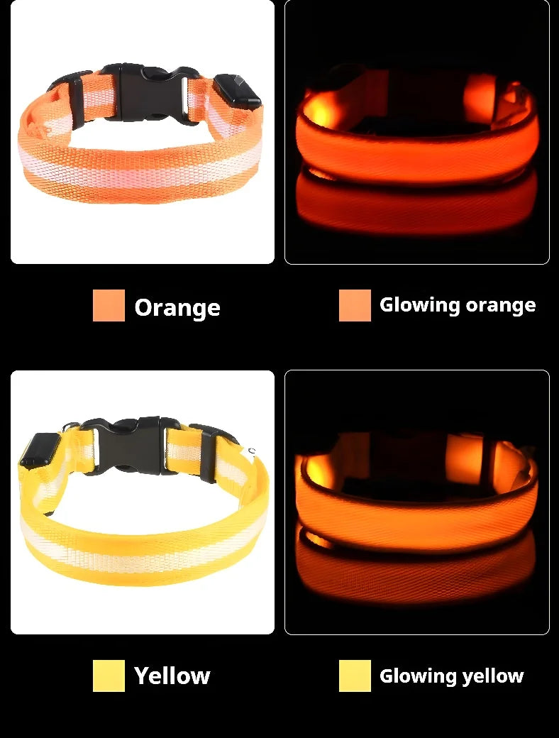 Dog Collar LED Night Safety Flashing.