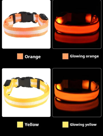 Dog Collar LED Night Safety Flashing.