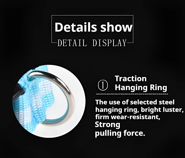 Dog Collar LED Night Safety Flashing.