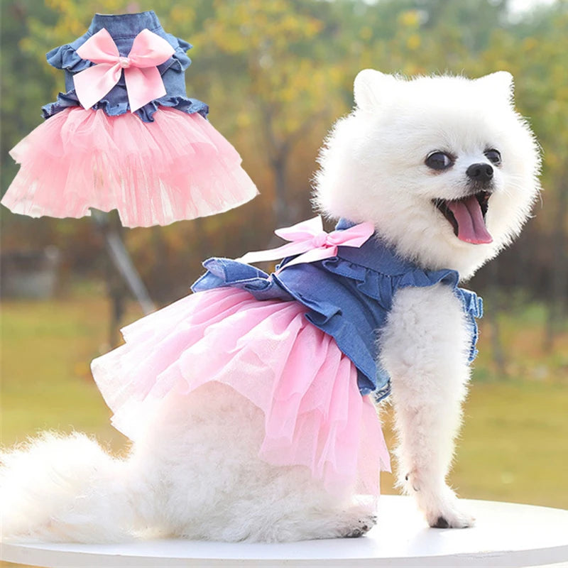 Pet Denim Dresses.