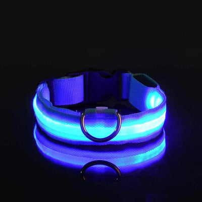 Dog Collar LED Night Safety Flashing.