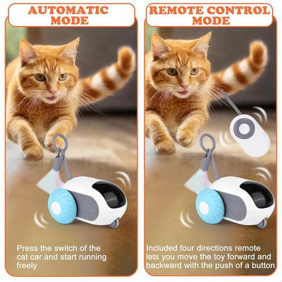 Cat Toy Automatic Moving Remote Controlled.