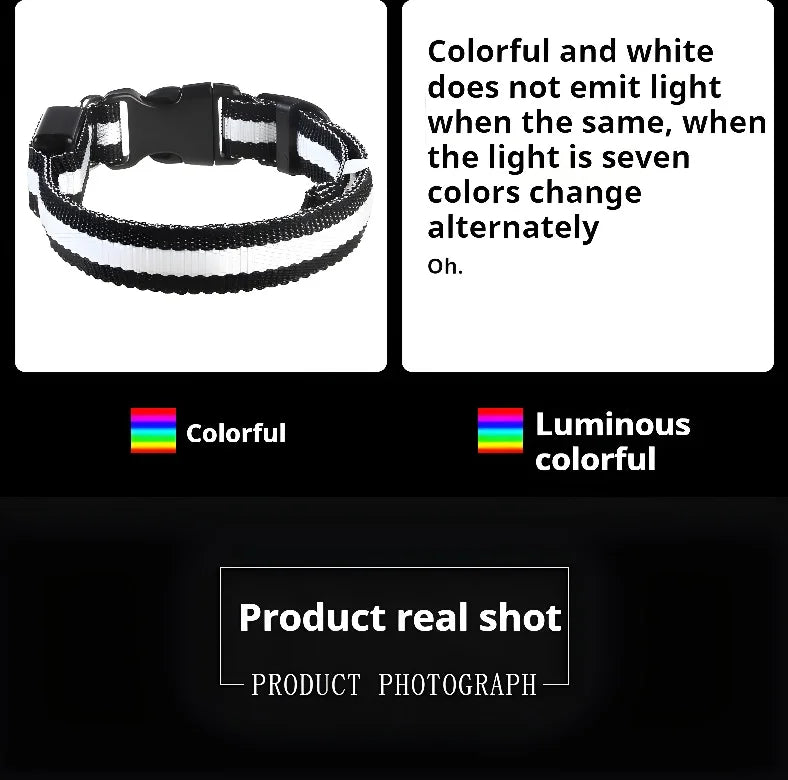 Dog Collar LED Night Safety Flashing.