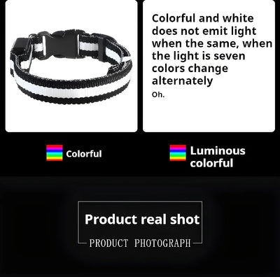 Dog Collar LED Night Safety Flashing.
