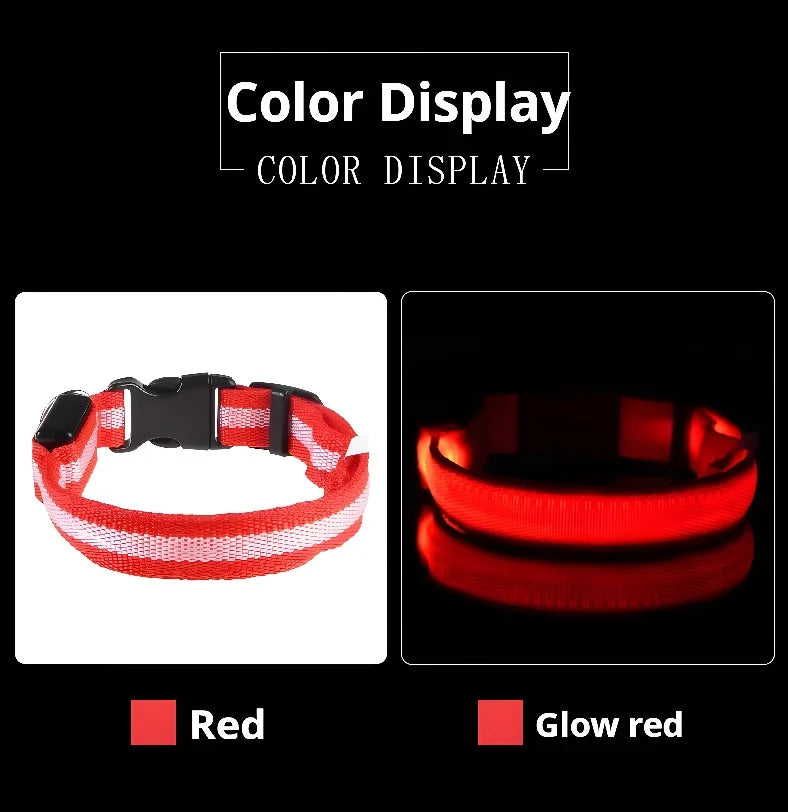Dog Collar LED Night Safety Flashing.
