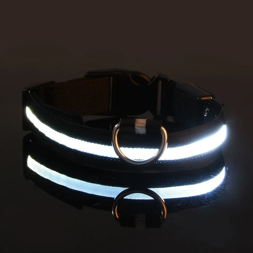 Dog Collar LED Night Safety Flashing.