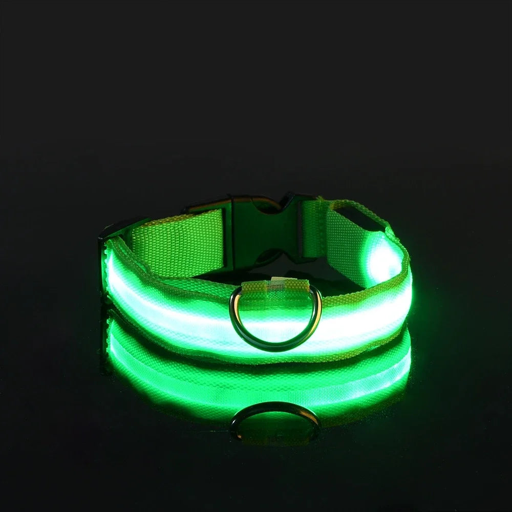 Dog Collar LED Night Safety Flashing.