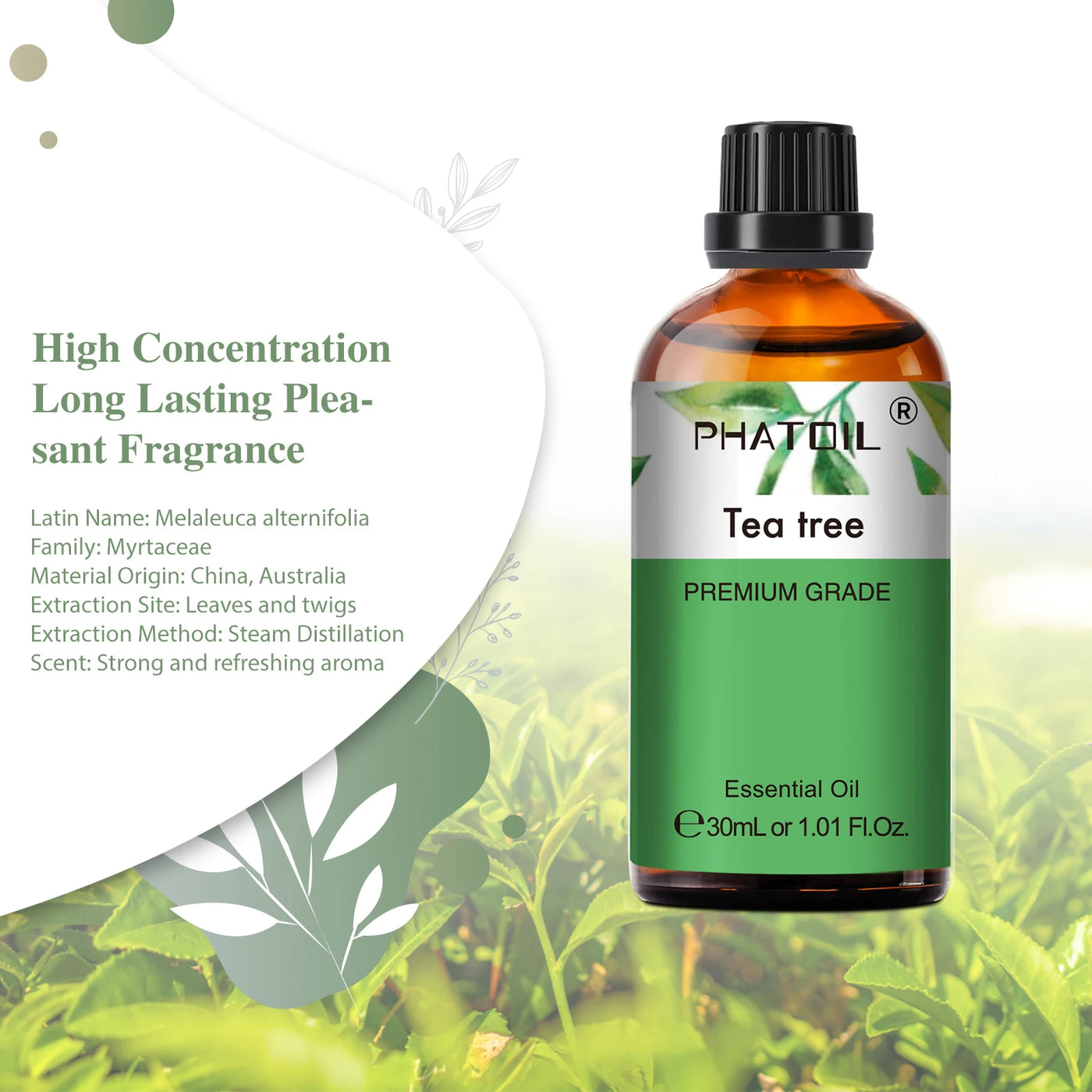 Tea tree Essential Oil for Aromatherapy Candle.
