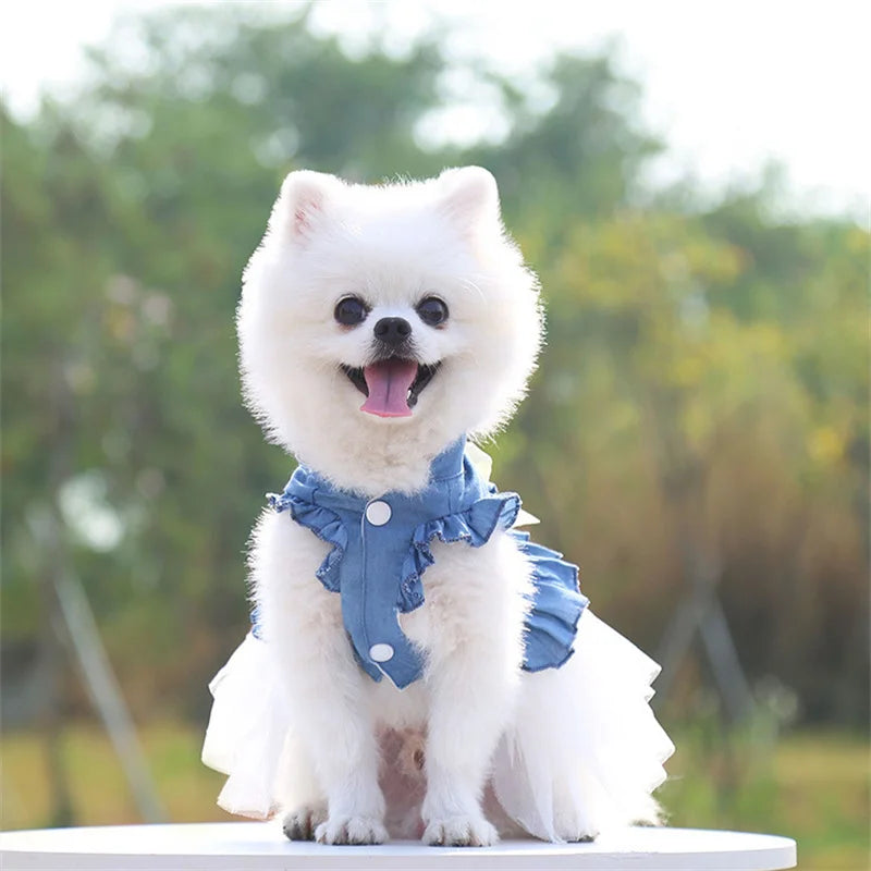 Pet Denim Dresses.