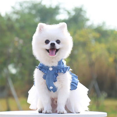 Pet Denim Dresses.