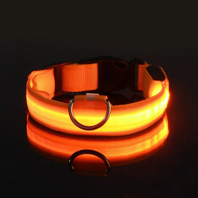 Dog Collar LED Night Safety Flashing.