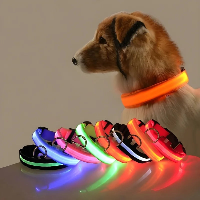 Dog Collar LED Night Safety Flashing.
