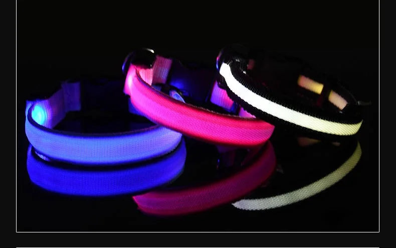 Dog Collar LED Night Safety Flashing.