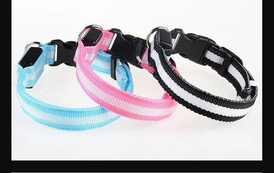 Dog Collar LED Night Safety Flashing.