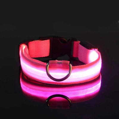 Dog Collar LED Night Safety Flashing.