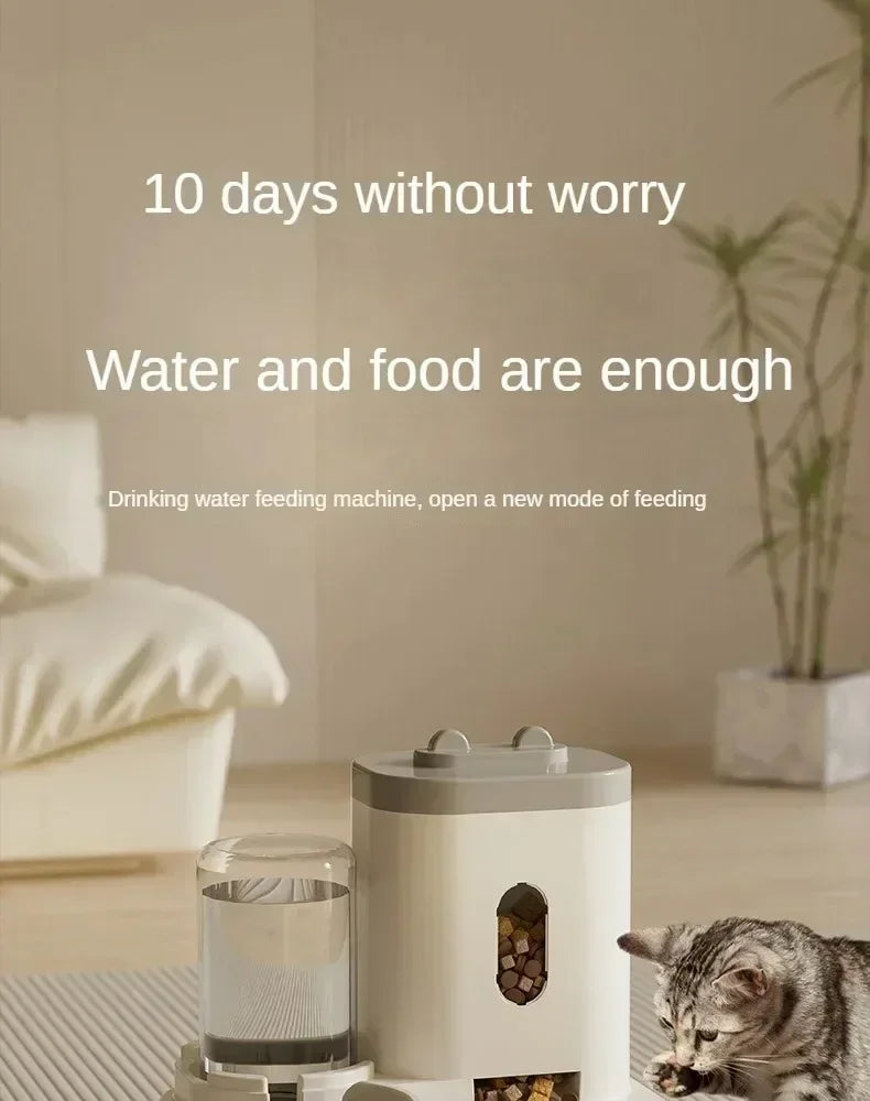 Automatic Feeder Bowl with Water Fountain.