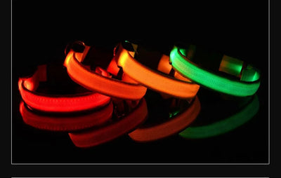 Dog Collar LED Night Safety Flashing.