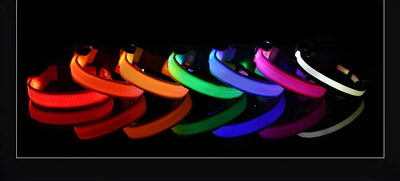 Dog Collar LED Night Safety Flashing.