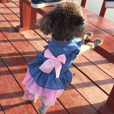 Pet Denim Dresses.