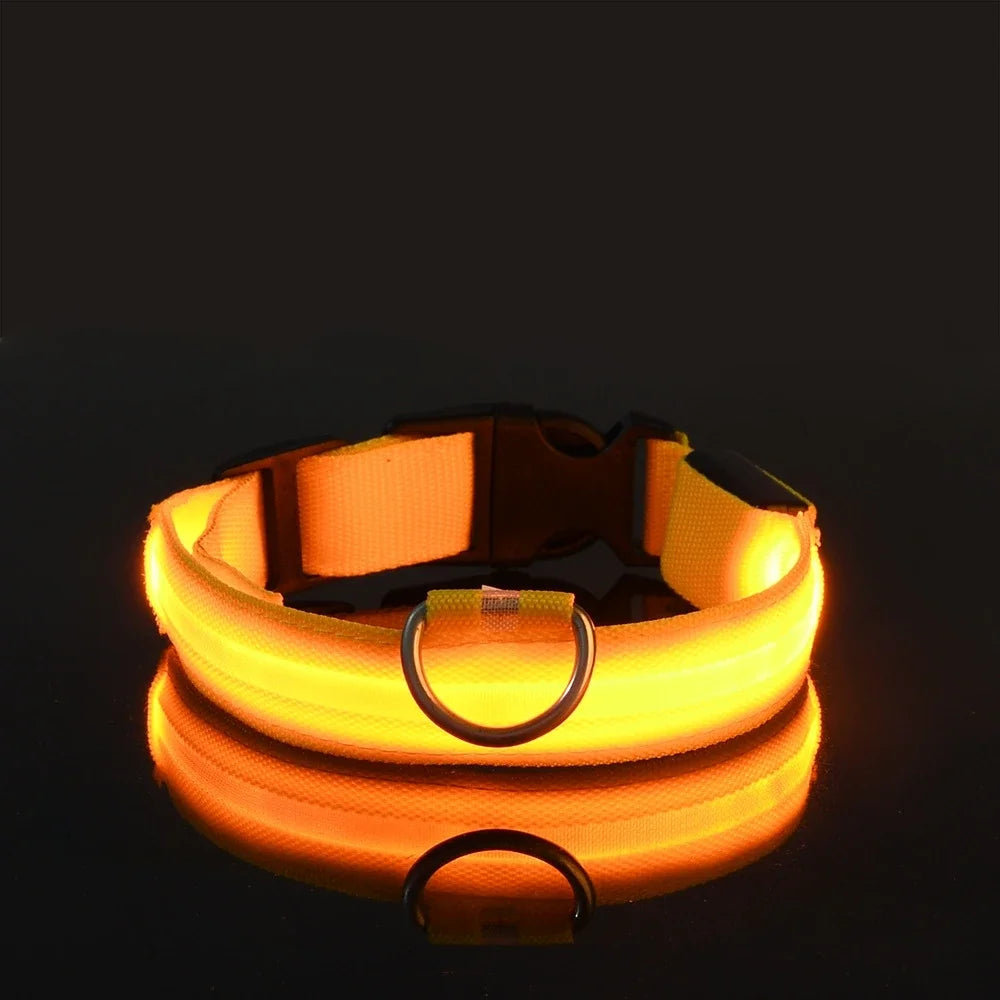 Dog Collar LED Night Safety Flashing.