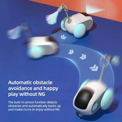 Cat Toy Automatic Moving Remote Controlled.