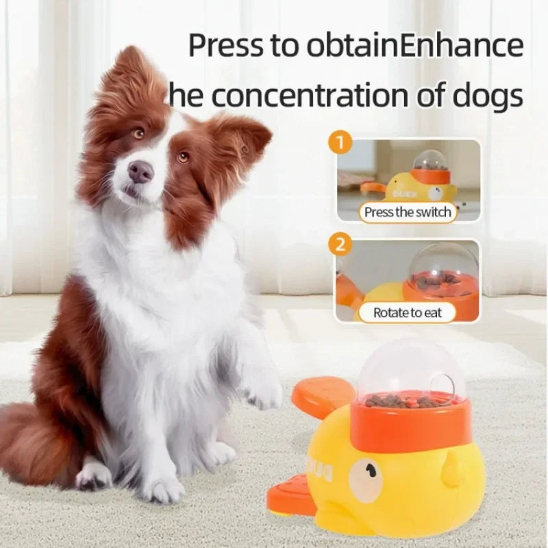 Pet Toy Feeder.
