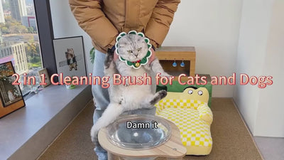 Steam Cat Hairbrush Vaporizer.